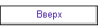 Bepx